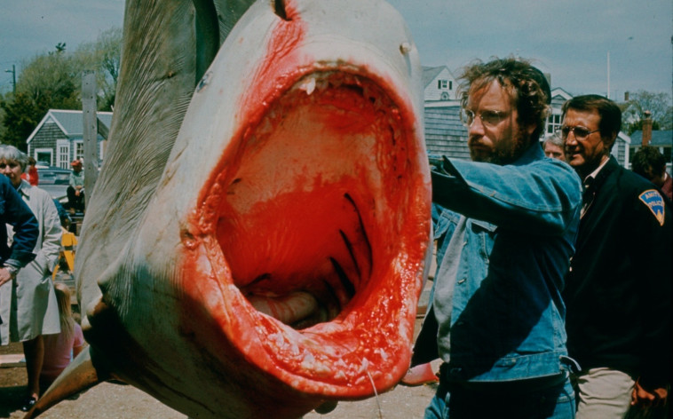 כריש לבן גדול, מתוך הסרט ''מלתעות''