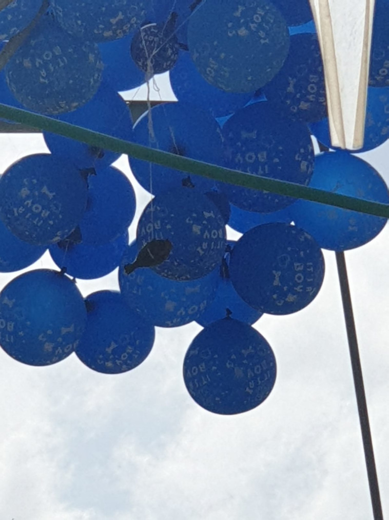 בלוני נפץ בעוטף עזה