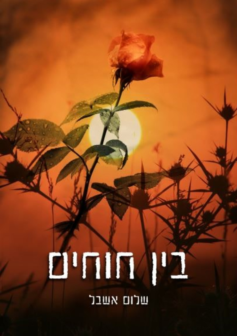 בין חוחים - ספרו של אשבל
