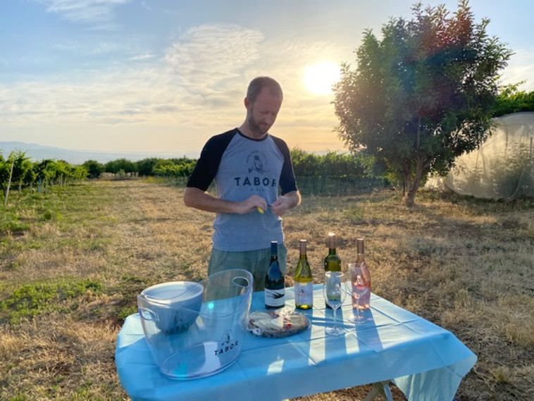 יקב תבור - אור נדבך בכרם 