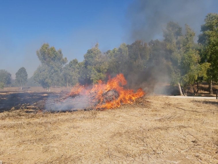 שריפה ביער שוקדה (צילום: איציק לוגסי, יערן קק״ל)