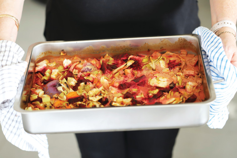 סינייה שורשים