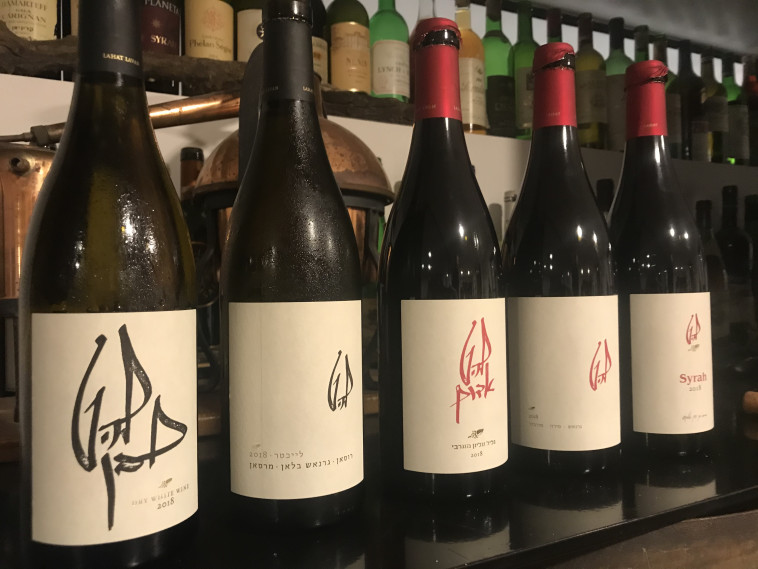 טעימת יינות להט - מרכז איש הענבים 