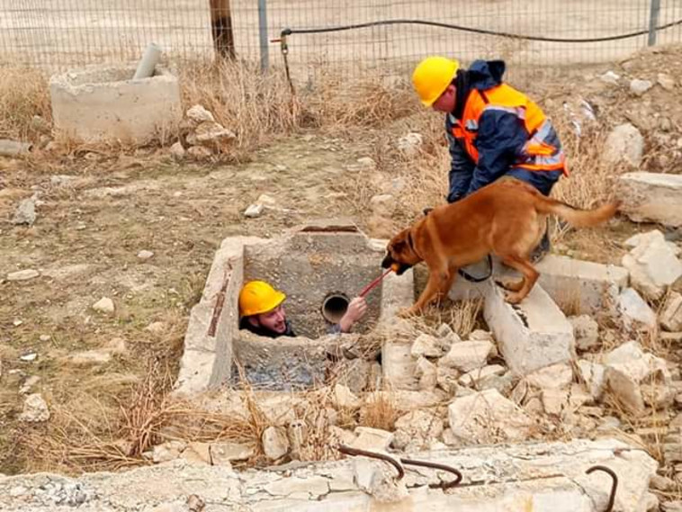 אימון ביחידת הכלבנים