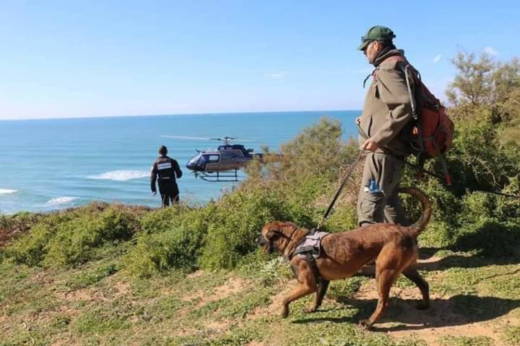 יחידת הכלבנים