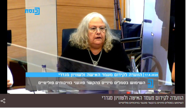 אריאנה מלמד בדיון בוועדה למעמד האישה