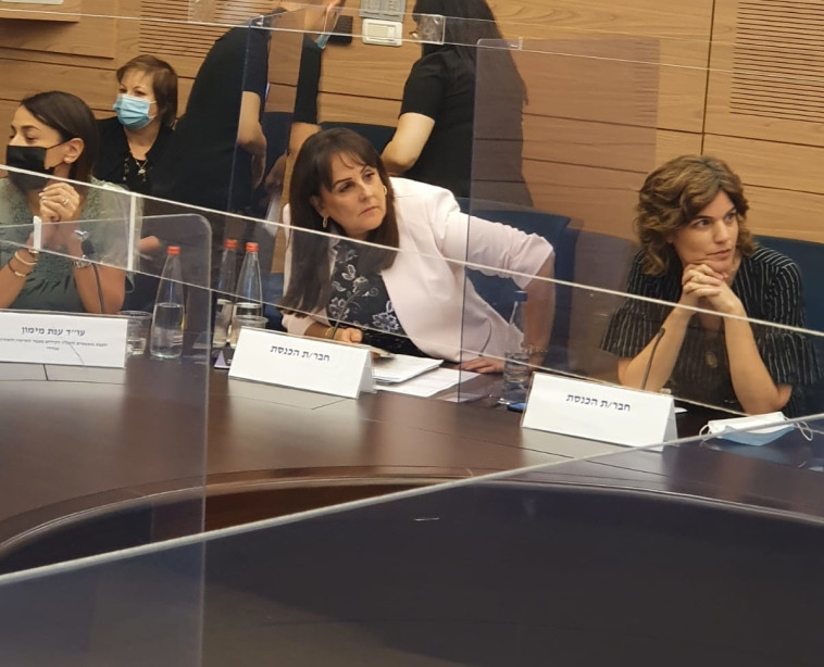 חברות הכנסת זנדברג ושטרית