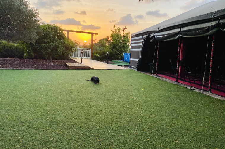 לפני ההופעה