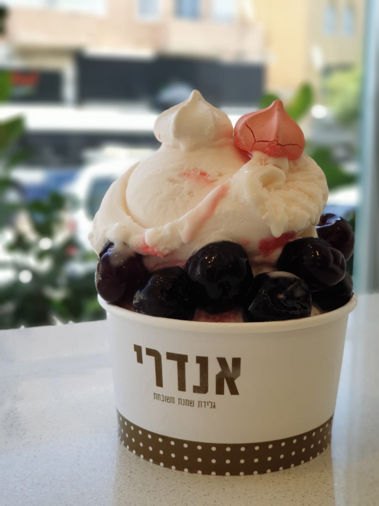 אנדרי גלידות חדשות 