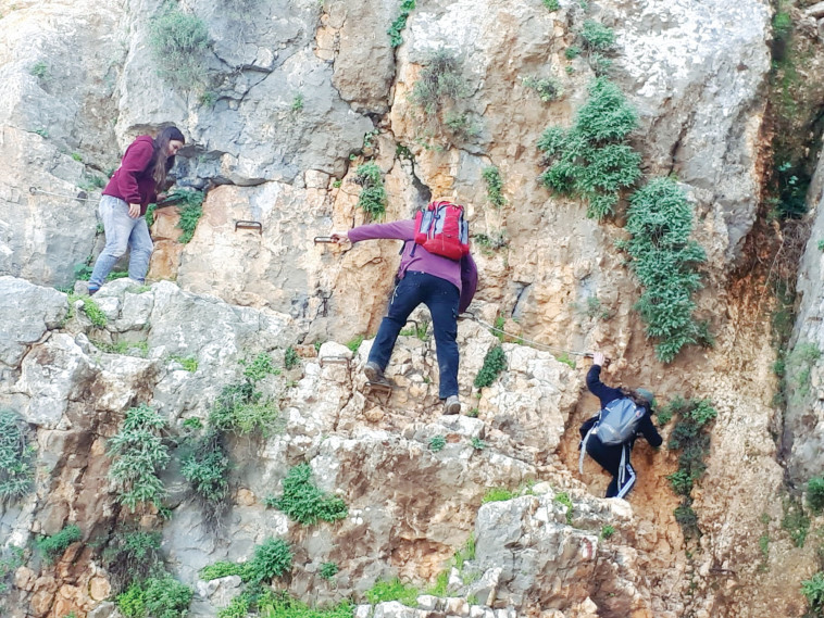 סולמות ויתדות בארבל 