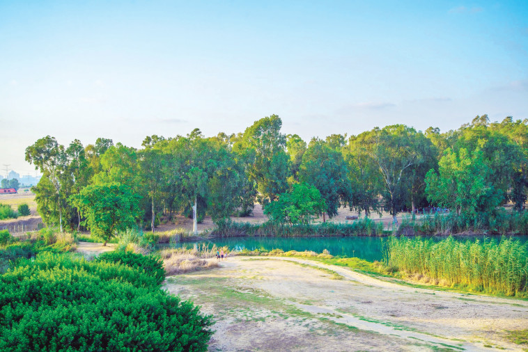ירקון תל אפק