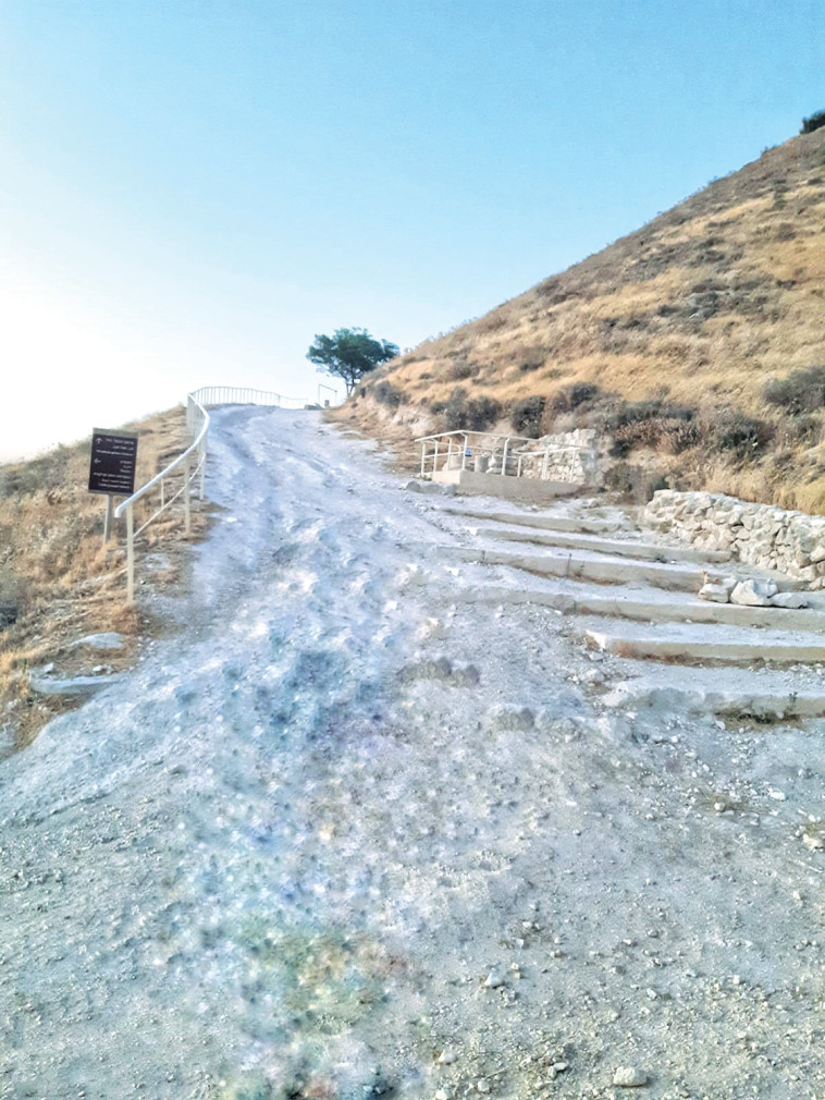 המדרגות בהרודיון 