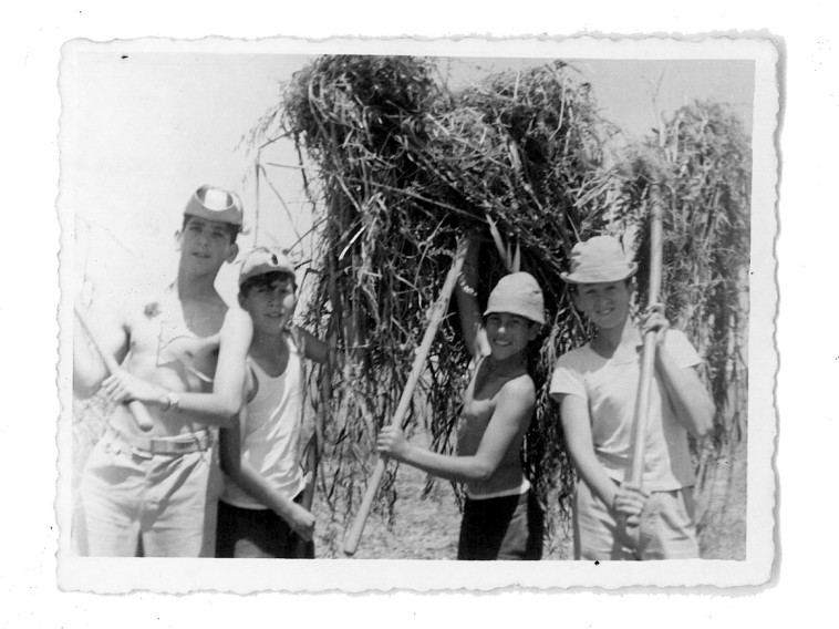 הימים בקיבוץ