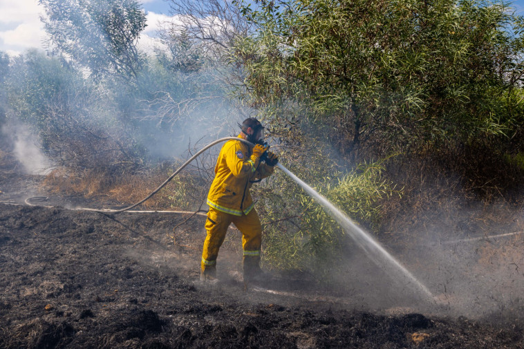 שריפות בעוטף עזה כתוצאה מהפרחת בלוני תבערה (צילום: ניר צפריר)