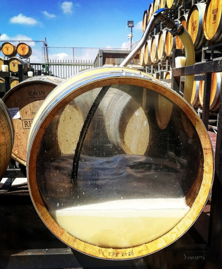 יקב רקנאטי, חבית שקופה