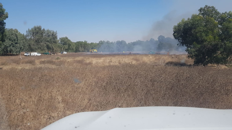 שריפה ביער בארי