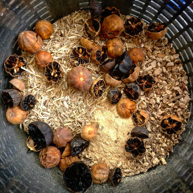 וורמוט ישראלי - התערובת הסודית 