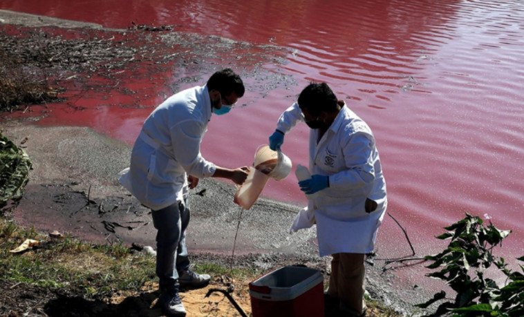 המדענים בפעולה