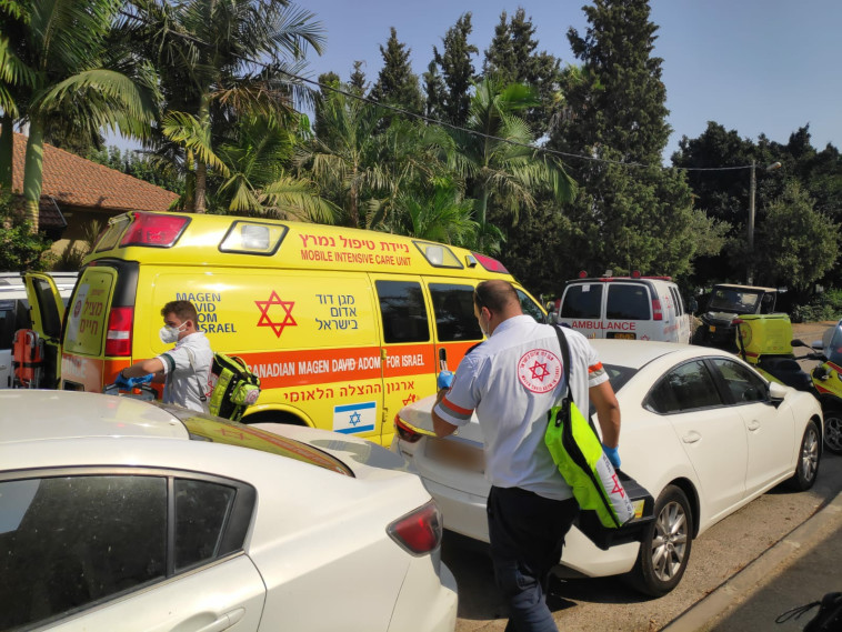 אמבולנס, ארכיון