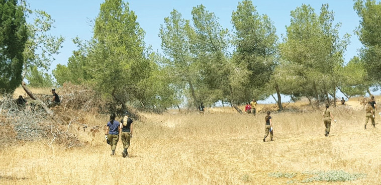 חיילים בקק''ל