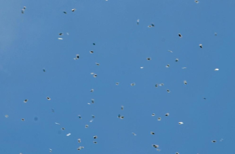 שקיות גראס מרחבים בשמי ת''א