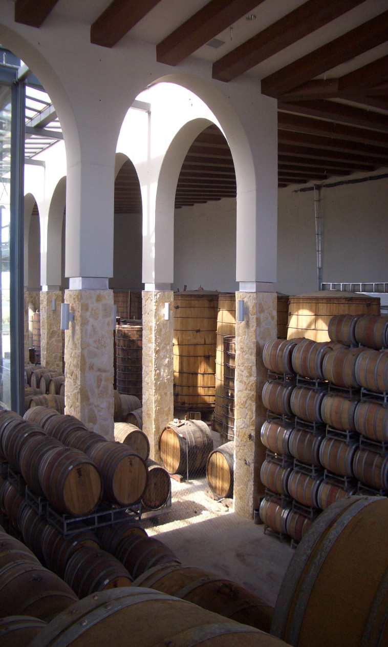 יקב ברקן-סגל, חדר החביות 