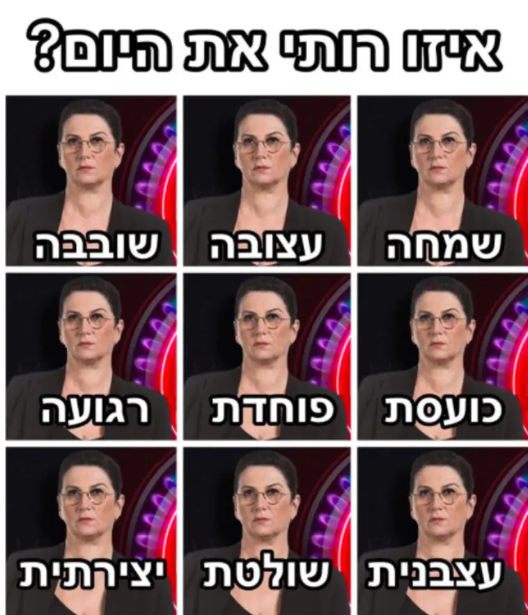 פנים רבות לרותי ברודו