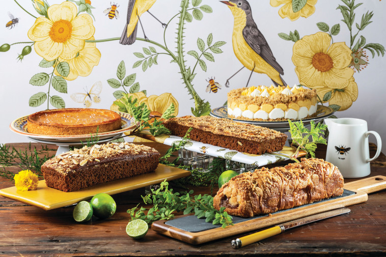 ראש השנה בביסקוטי