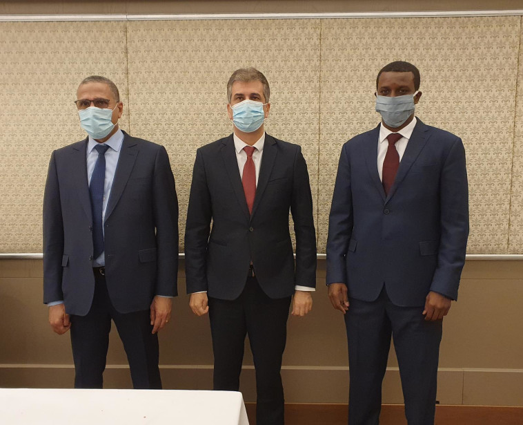 נציגי המשלחת מצ'אד נפגשו עם שר המודיעין אלי כהן