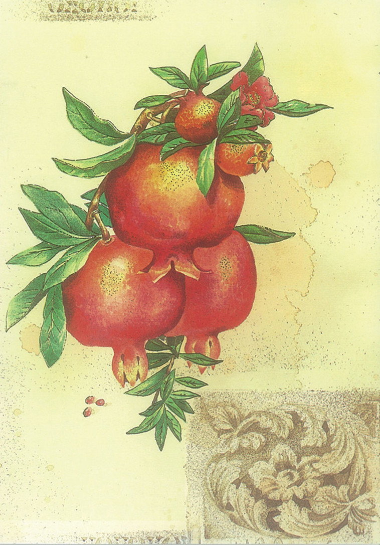 ברכת שנה טובה של פלפוט