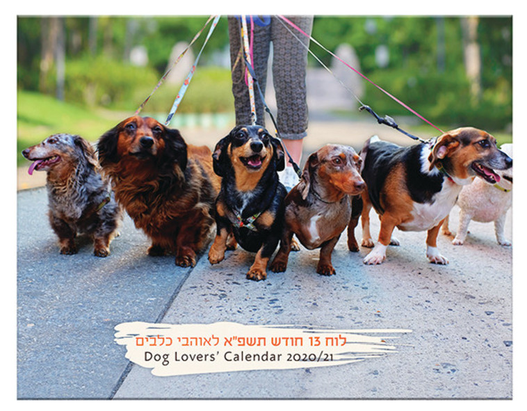 לוח שנה של כלבים  (צילום: סטודיו פלפוט)