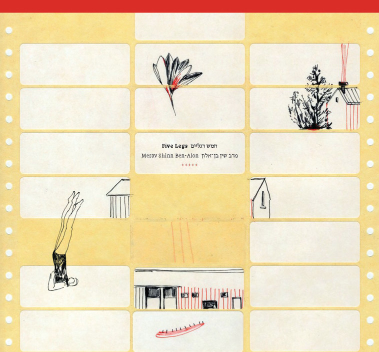 חמש רגליים (צילום: יח''צ)