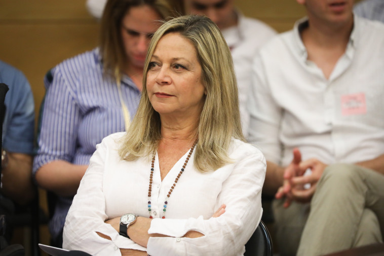 מיקי חיימוביץ' בוועדת הפנים והגנת הסביבה