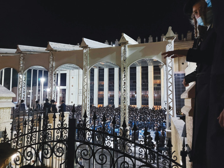 חתונת החרדים