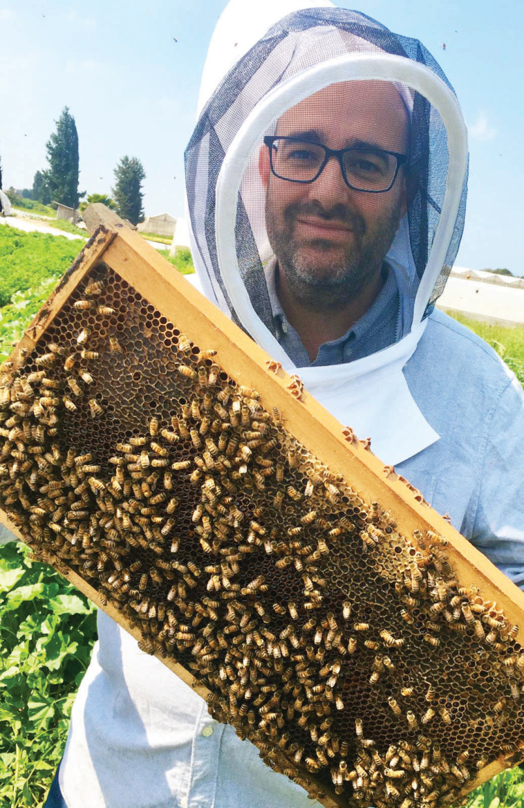 פסטיבל מועדים לסביבה - ישי שטקלר ירצה על דבורים