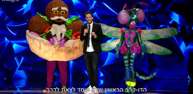 השפירית והפלאפל