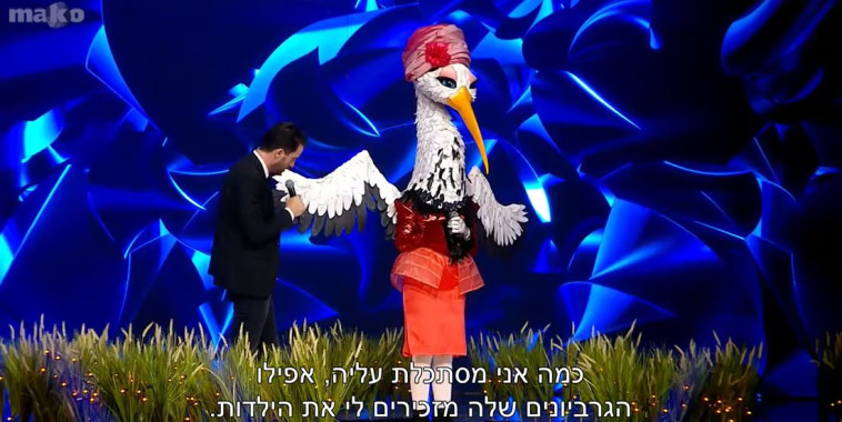 החסידה