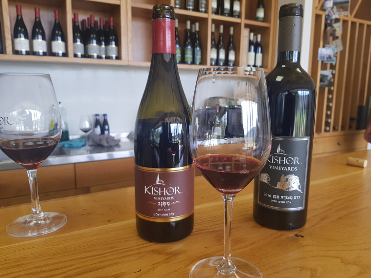 יקב כישור, מרכז המבקרים, טעימת יין 