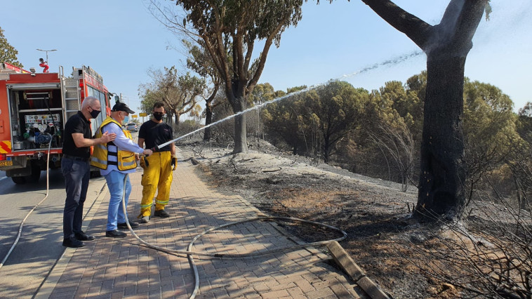 נזקים בנוף גליל