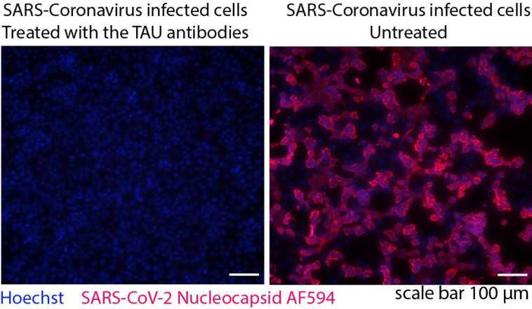 ויזו'אל - המחקר של אוניברסיטת תל אביב