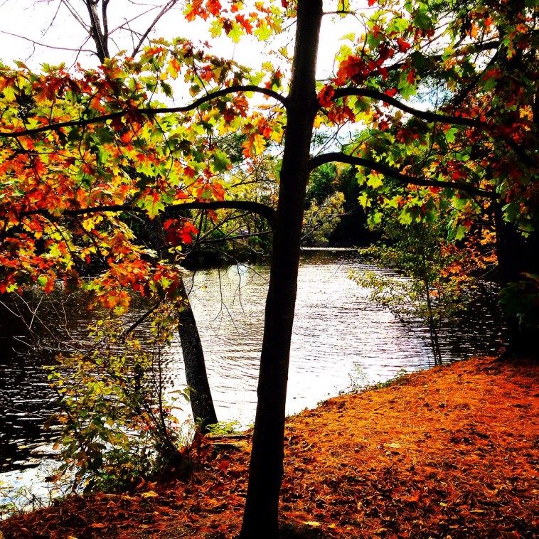 חורף אמריקאי