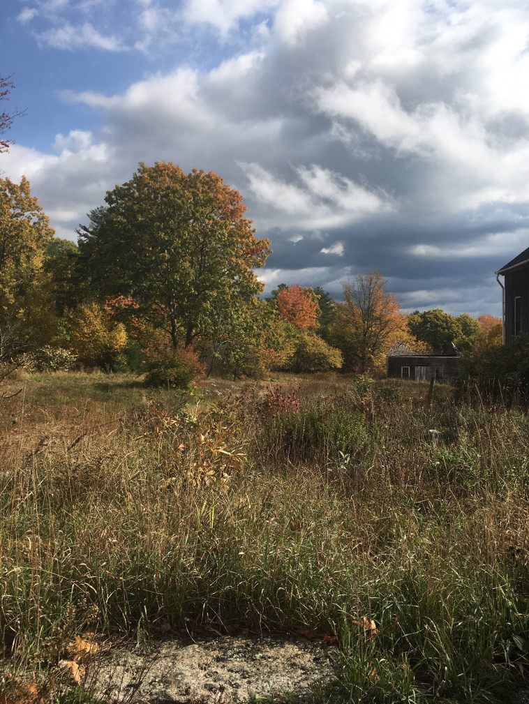 נוף אמריקאי