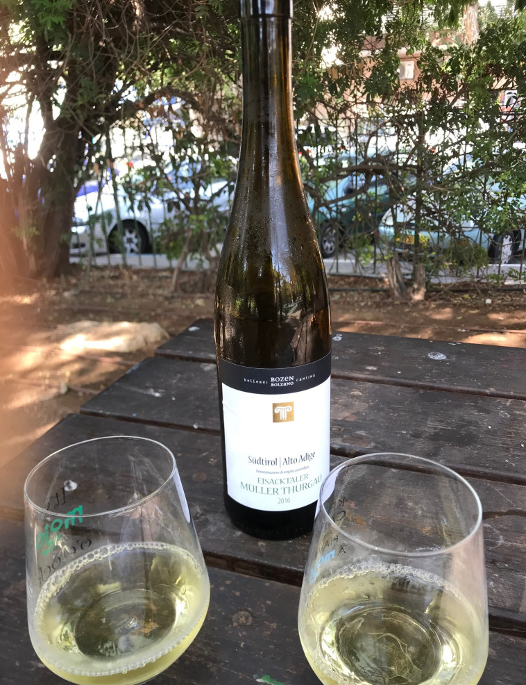 מולר טורגאו בגינה הציבורית 