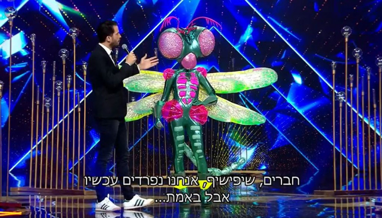 השפירית - הזמר במסיכה (צילום: צילום מסך: קשת 12)