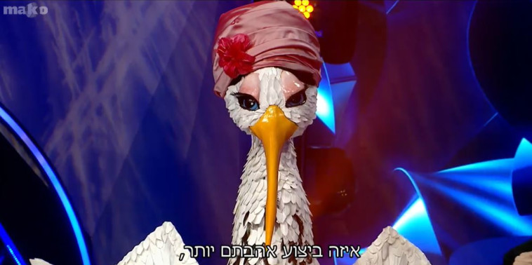 החסידה - הזמר במסיכה (צילום: צילום מסך קשת)