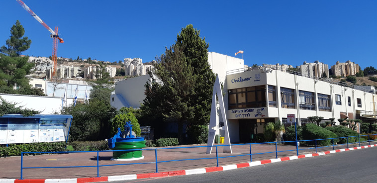 מפעל ורד הגליל