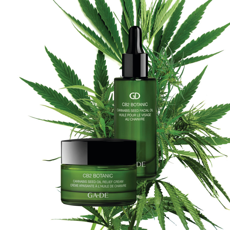 קרם פנים של המותג ג'ייד