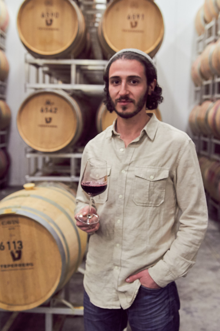 דניאל פרידנברג, יקב טפרברג 