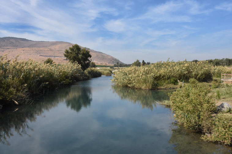 פארק המעיינות (צילום: ענת בן יהושע)