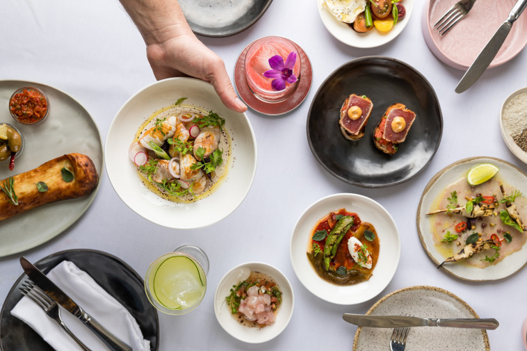 סושיאל קלאב משלוח